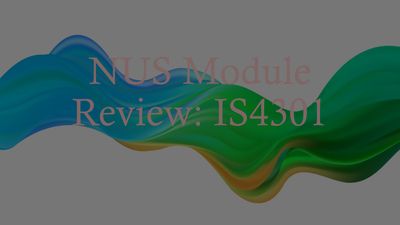Nus module review IS4301